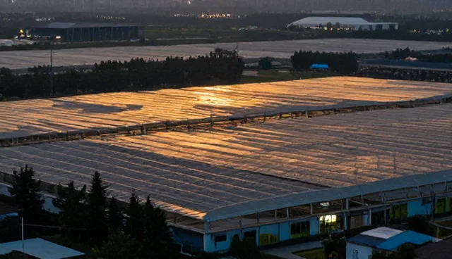 流程优化中技术成果转化的两种做法对比
