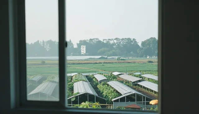 提示词泄露：两种做法的对比与实际取舍