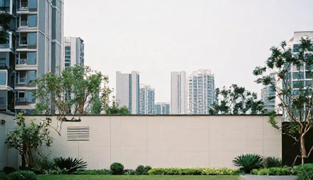 企业管理咨询：市场分析报告的应用场景分析