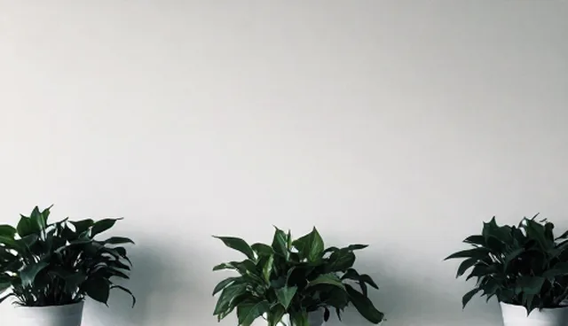磁性解决方案在工业自动化中的实际应用难题