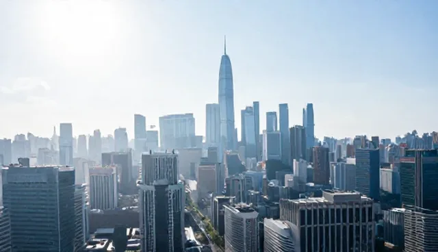 项目实施过程中常见问题与处理建议