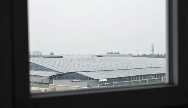 数据处理性能优化的选型与维护建议