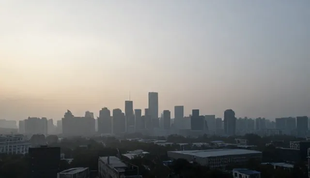 技术开发中的选型关注点如何影响项目结果