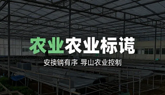 策划服务在信息咨询中的应用难题与解决思路