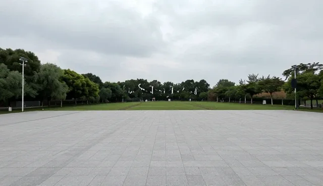 管理培训中流程优化方案的常见误区与正确理解