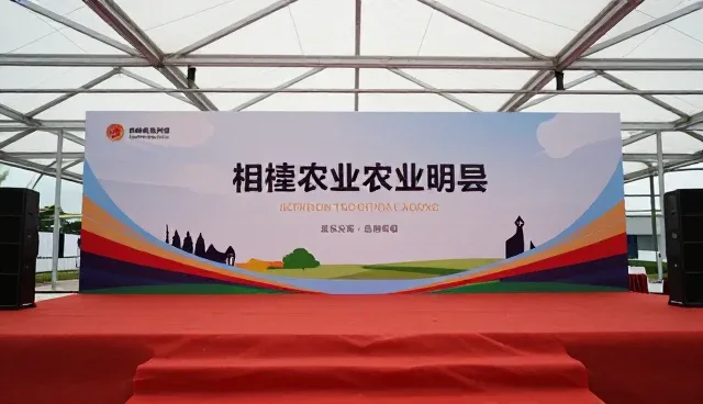 直播互动策略如何提升活动策划执行效率