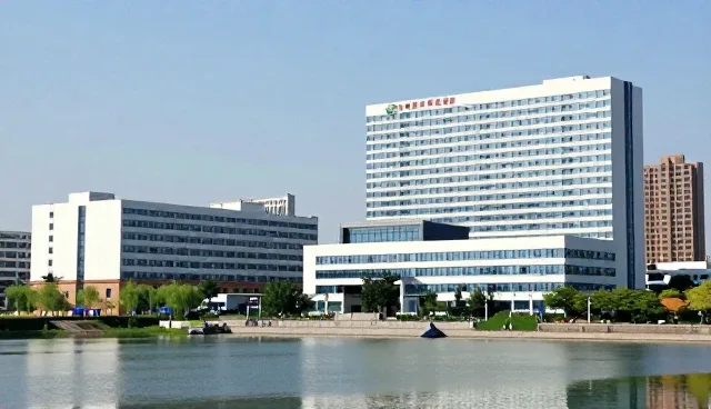 技术领域技术支持场景分析与应用建议