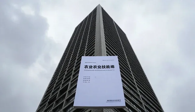 种苗供应：农业技术推广中的关键挑战与应对策略