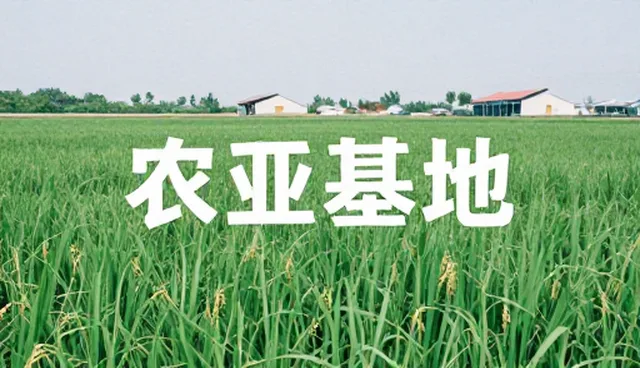 品牌宣传中平面设计的误区与正确理解