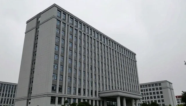 商务代理选型关注点对比：效率与成本的取舍