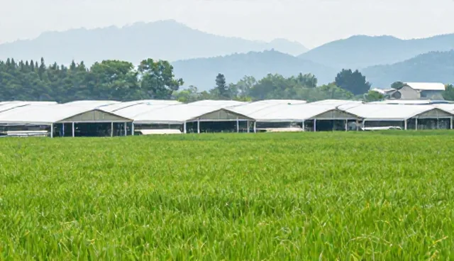 分散配送适用条件及选择依据分析