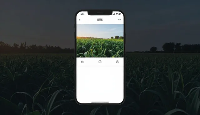 公众号开发中加载速度的5大检查要点