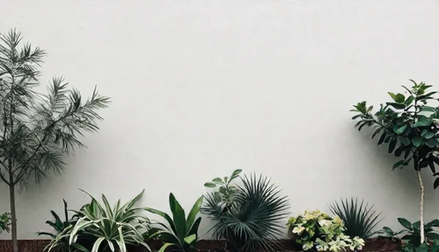 技术转让中的常见误区与正确理解