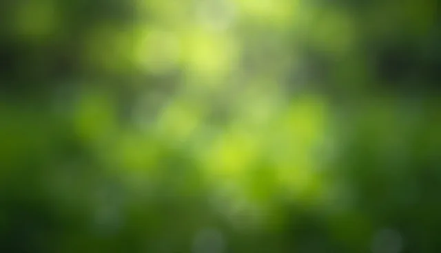 备考策略中性能与适用条件的取舍对比