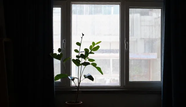 影视策划在新媒体运营中的适用条件与选择依据