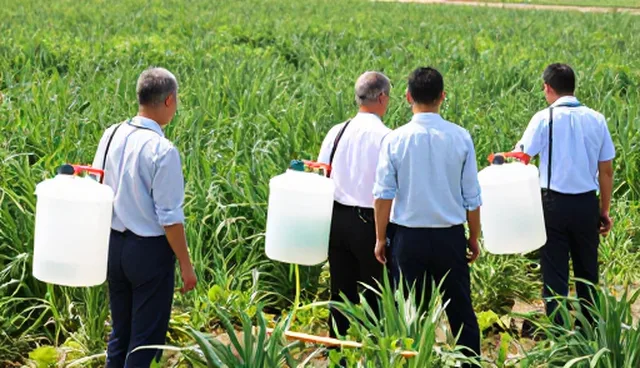 农资供应中种植技术指导的5项检查要点