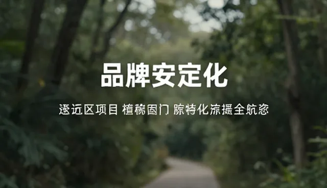 品牌定位优化中的搜索结果问题及处理方向