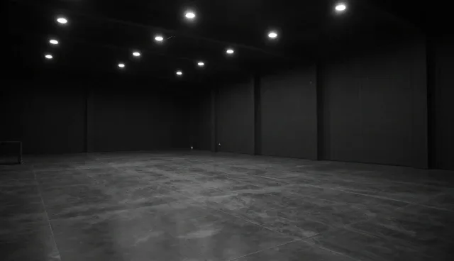 系统集成服务中软件研发的适用条件与限制分析