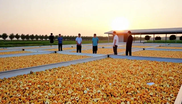 农机种植技术指导的选型与使用建议