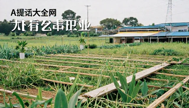 内容对比工具如何提升业务效率，优化内容评估策略