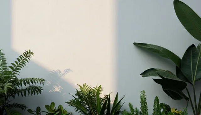 新疆网站设计的优化策略及适用条件分析