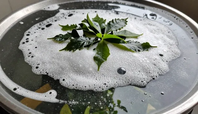 技术成果转化中的常见误区及正确理解