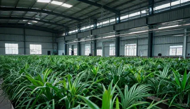 宣传片制作中选型建议与常见问题处理