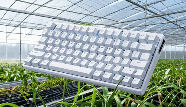 Rog KeyBoard选购指南：应用场景分析与使用建议