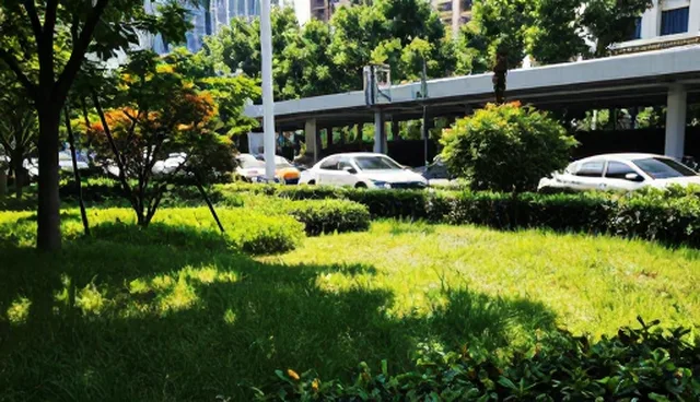 技术外包服务如何选择？性能与适用条件全解析