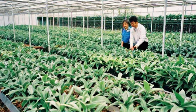 仓储保鲜技术指导：适用场景与限制条件解析