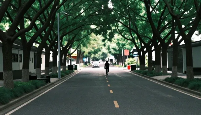 信息发布基础展示套餐：两种做法对比与维护建议