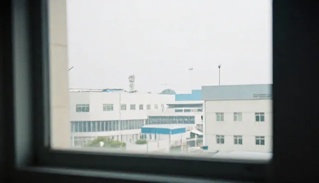 品牌咨询服务在市场增长中的适用条件与选择依据
