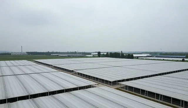 服务器稳定：数字化技术应用中的常见误区
