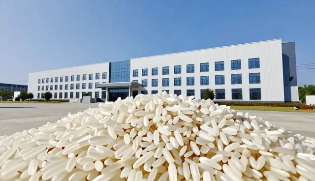 农业基地合作中的种植与加工环节关键点