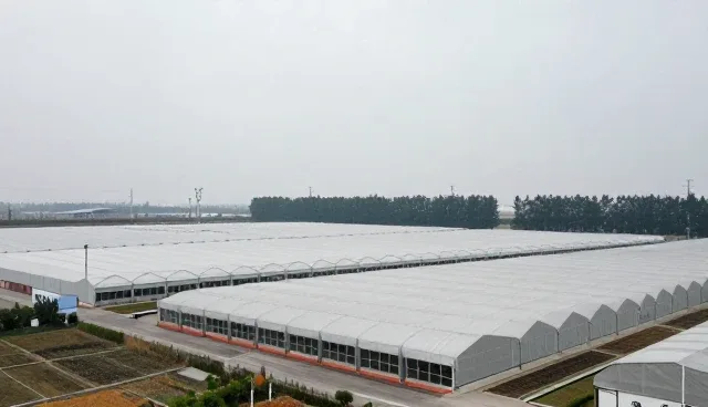 网络推广效果评估中的误区与处理方向