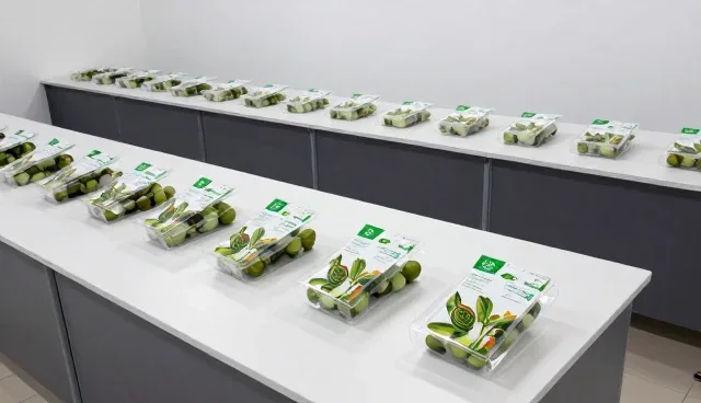 保鲜技术在渠道供货中的性能对比与适用条件