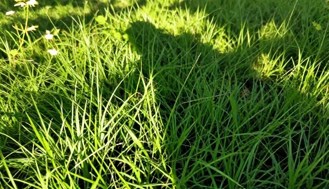 医疗健康服务如何提升专业性与用户体验