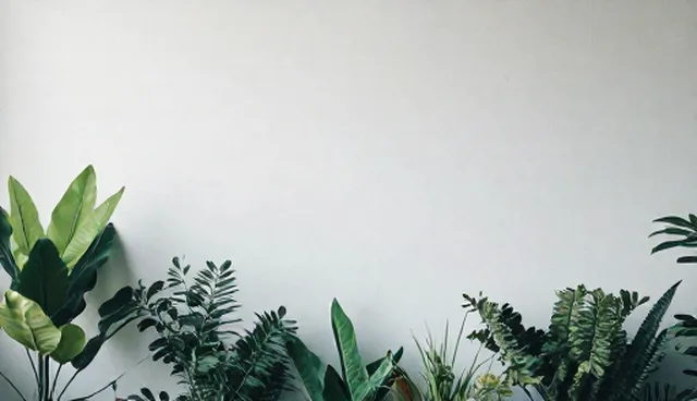 信息咨询流程优化，提升使用场景效率