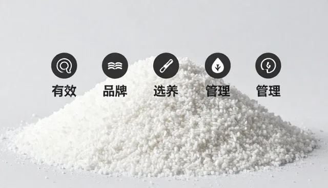 种植技术指导中的品种选择与种养管理要点