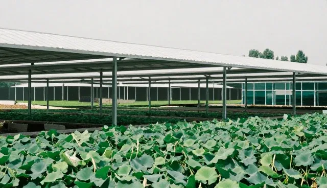 安全防护中网络技术开发的两大关键环节