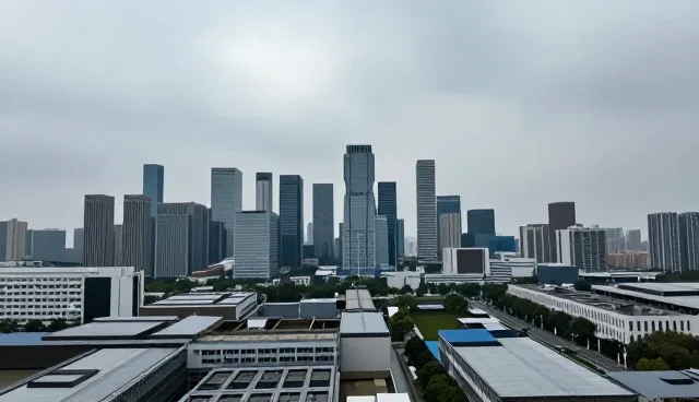 技术外包在企业应用开发中的适用条件分析