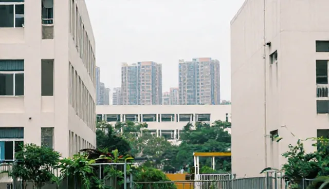 性能优化：常见问题与处理方法分析