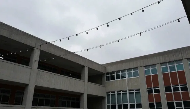 系统集成：网络安全服务使用与维护建议
