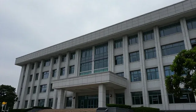 技术实施中的方案设计：两种做法的对比与取舍