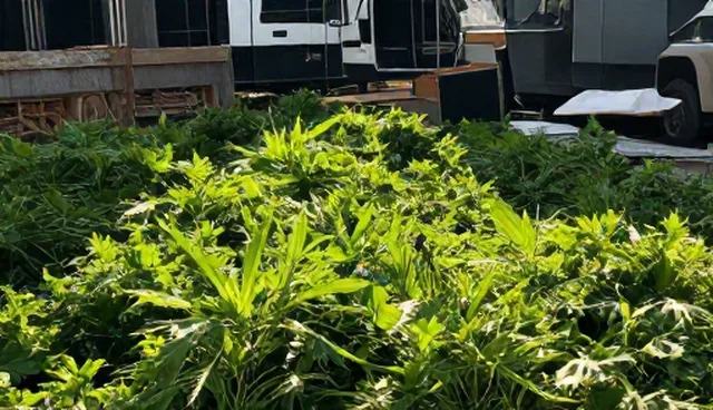 媒介投放中的业务需求理解误区与澄清