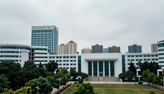 企业财税咨询中两种做法的对比及实际取舍