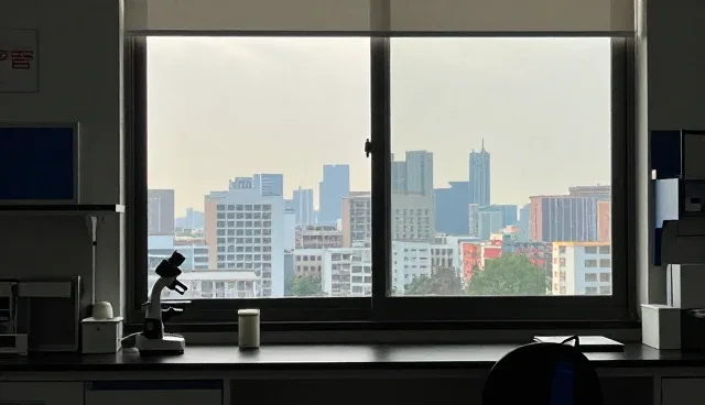 系统维护中软件使用对性能的影响原因
