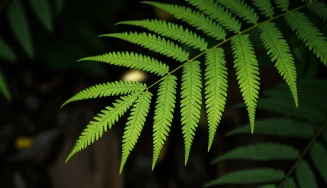 测试效率提升的两个关键环节分析