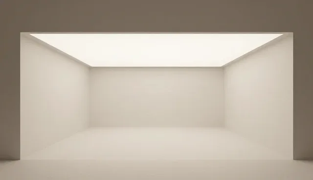 商务考察：适用条件与使用建议分析