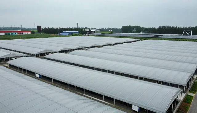 教案提示词的两种使用方法及实际取舍分析